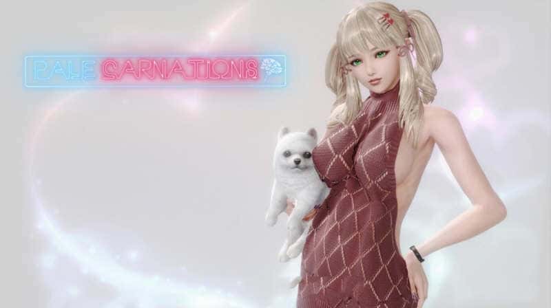 康乃馨俱乐部