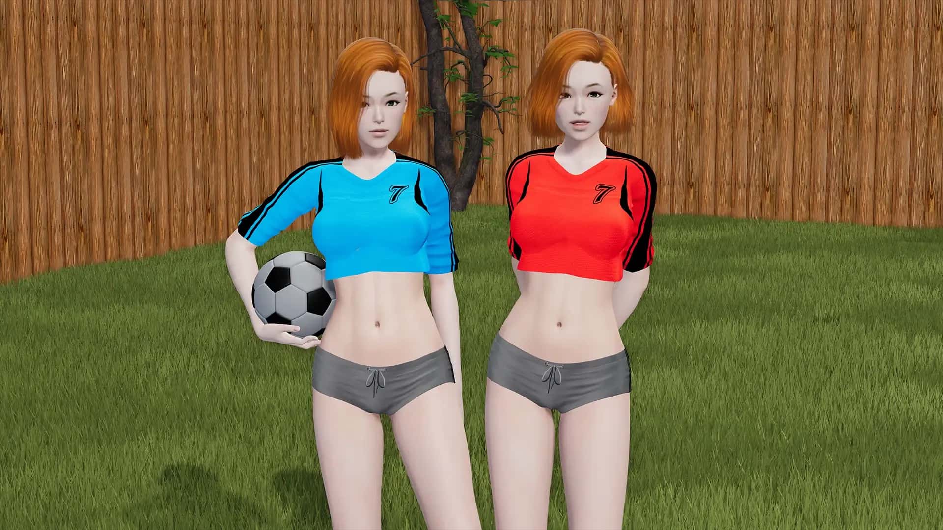 视觉数据5