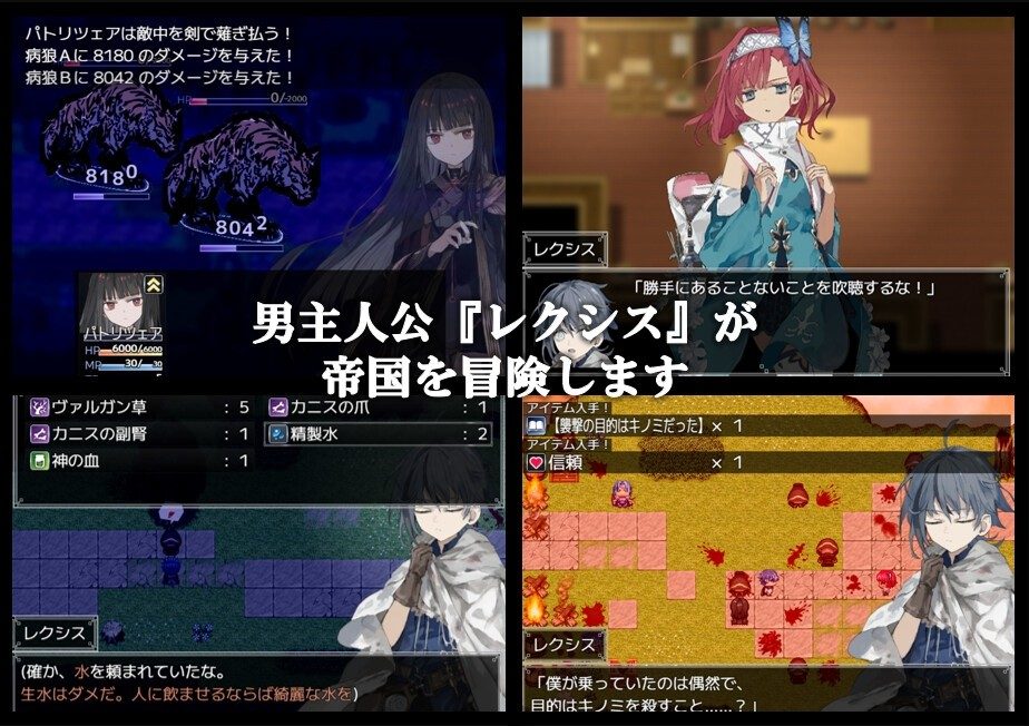 阿尔米奥西翁的医术师 中文界面 演示图 8